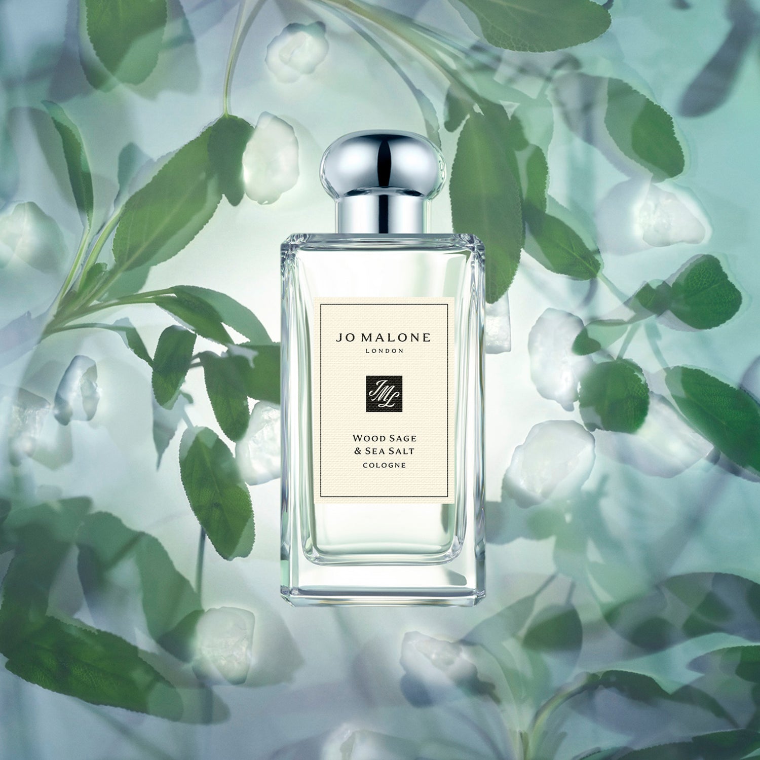 Jo Malone London Wood Sage and Sea Salt Cologne .