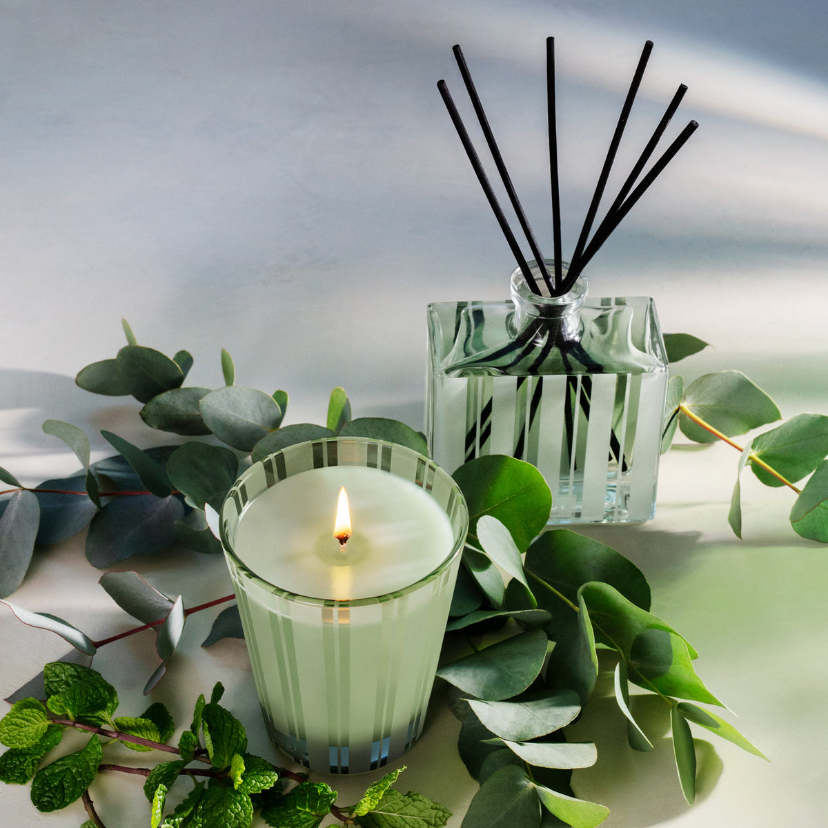 Nest Wild Mint and Eucalyptus Candle .