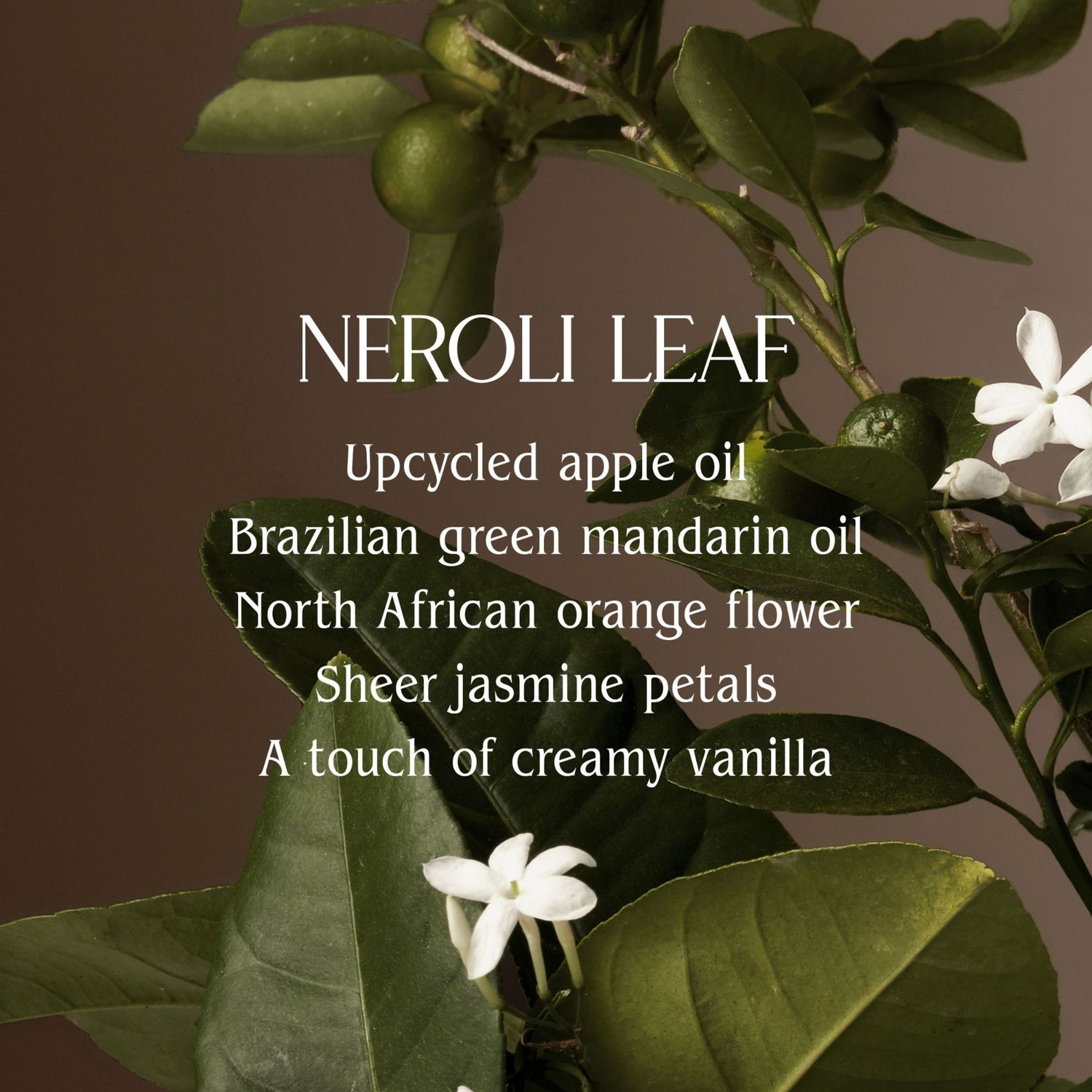 Lifestyle image of Homecourt  Neroli Leaf Laundry Concentrate