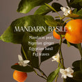 Lifestyle image of Homecourt Mandarin Basile Surface Cleaner
