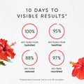 Lifestyle image of Irene Forte Hibiscus Night Cream With Myoxinol