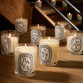 Image of product in the same collection as Diptyque Ambre (Amber) Scented Candle