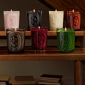 Image of product in the same collection as Diptyque Ambre (Amber) Scented Candle