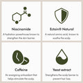 Information related to Dyson Amino Balance & Strengthen Scalp Treatment for Fuller Looking Hair