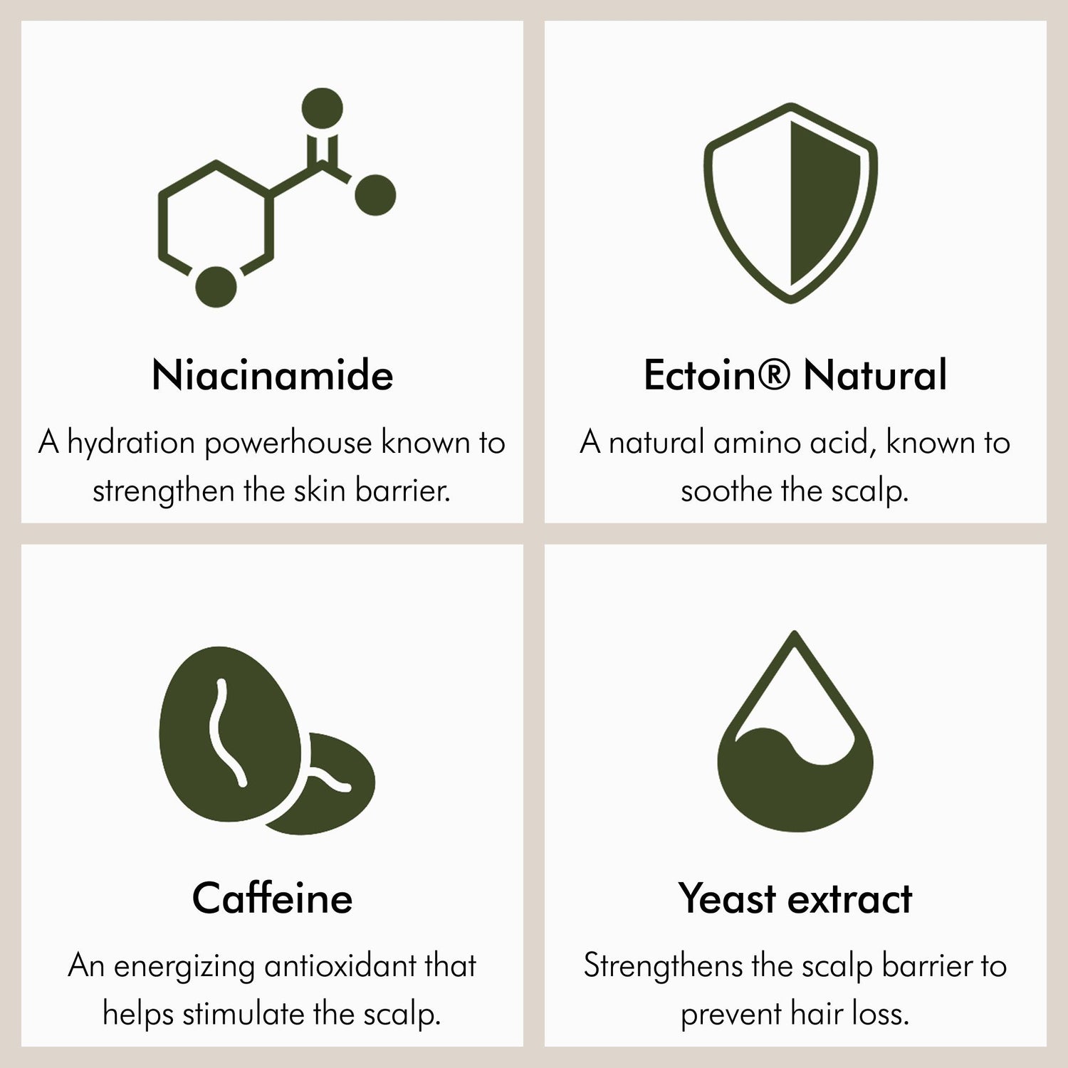 Information related to Dyson Amino Balance & Strengthen Scalp Treatment for Fuller Looking Hair