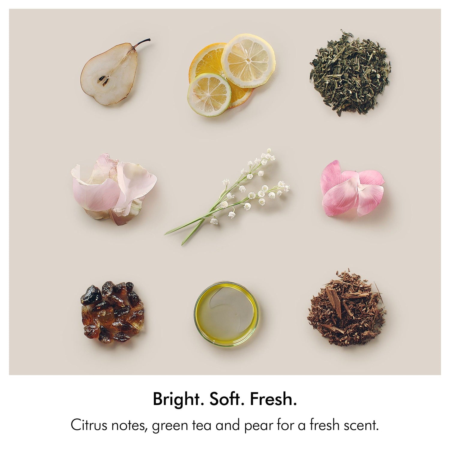 Information related to Dyson Amino Balance & Strengthen Scalp Treatment for Fuller Looking Hair