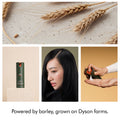 Information related to Dyson Amino Balance & Strengthen Scalp Treatment for Fuller Looking Hair