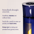 Information related to Oribe Run-Through Detangling Hair Primer