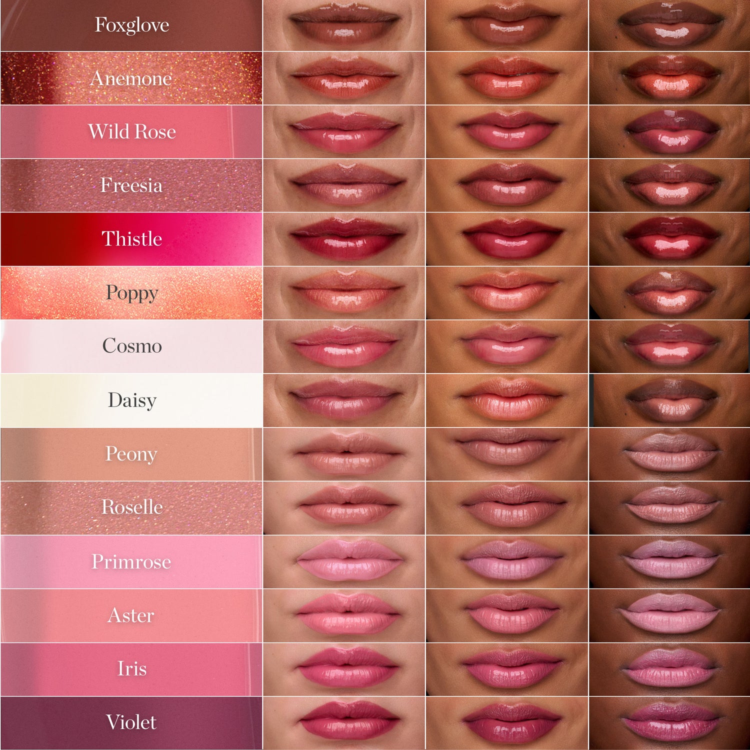 A shade comparison of Ogee Beyond Clean Lip Gloss