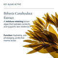 Lifestyle image of Mara Pearl Peptide Glaze Hydrating Facial Essence