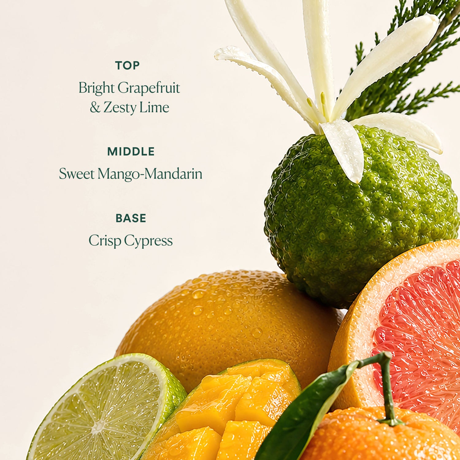 Lifestyle image of OSEA Undaria Uplift Fragrance Mood Oil