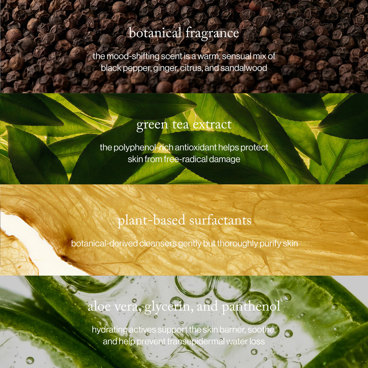 Information related to Goop Beauty Black Pepper + Ginger Grounding Body Wash