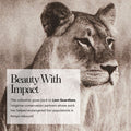 Lifestyle image of Chantecaille Luminescent Eye Shade - Lion Collection