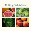 Information related to OSEA Undaria Body Bestsellers (Limited Edition)