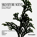 Information related to Nécessaire The Body Wash Discovery Collection (Limited Edition)