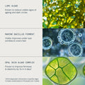Lifestyle image of Elemis Pro-Collagen Future Restore Eye Serum