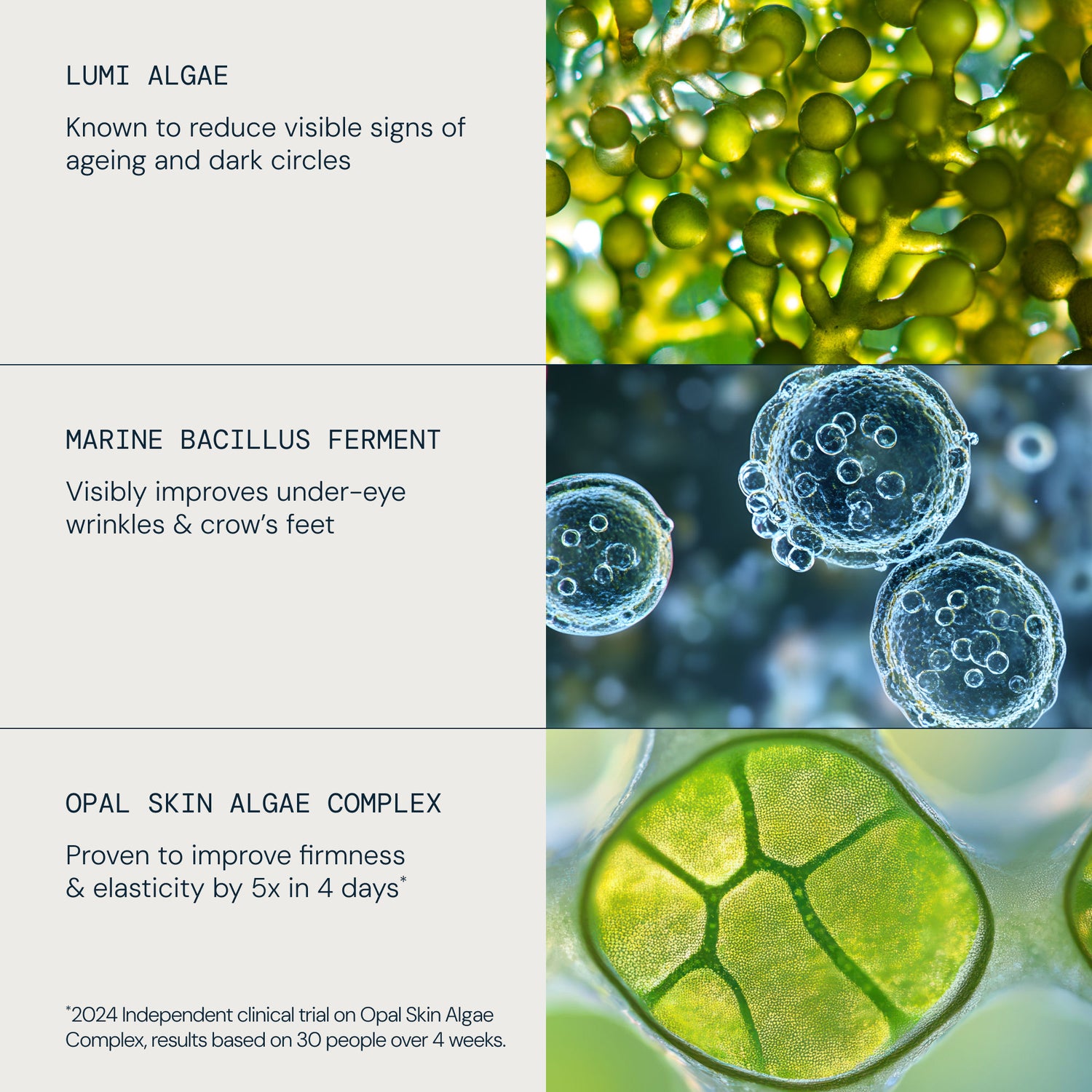 Lifestyle image of Elemis Pro-Collagen Future Restore Eye Serum