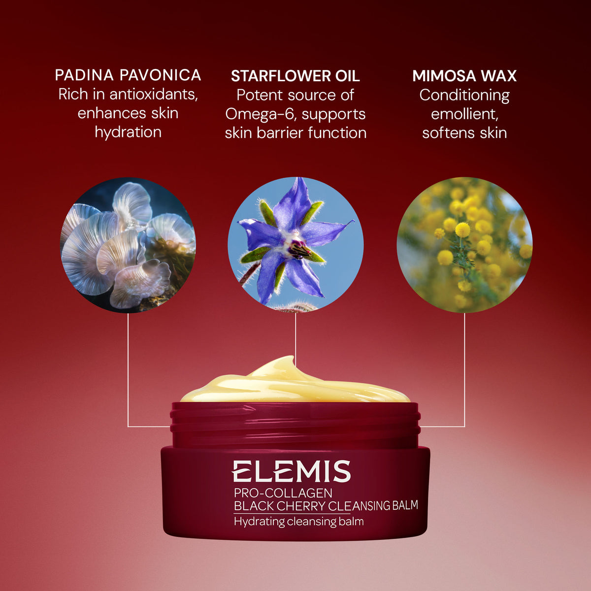 Lifestyle image of Elemis Pro-Collagen Black Cherry Balm