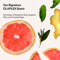 Lifestyle image of Olaplex No.5Fine Bond Maintenance Lightweight Volumizing Conditioner