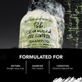 Information related to Bumble and Bumble Seaweed Oil Control Shampoo for Fine Hair and Oily Scalp
