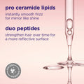 Information related to Maria Nila Mirror Gloss Rinse