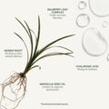 Lifestyle image of Tata Harper Fortifying Moisturizer