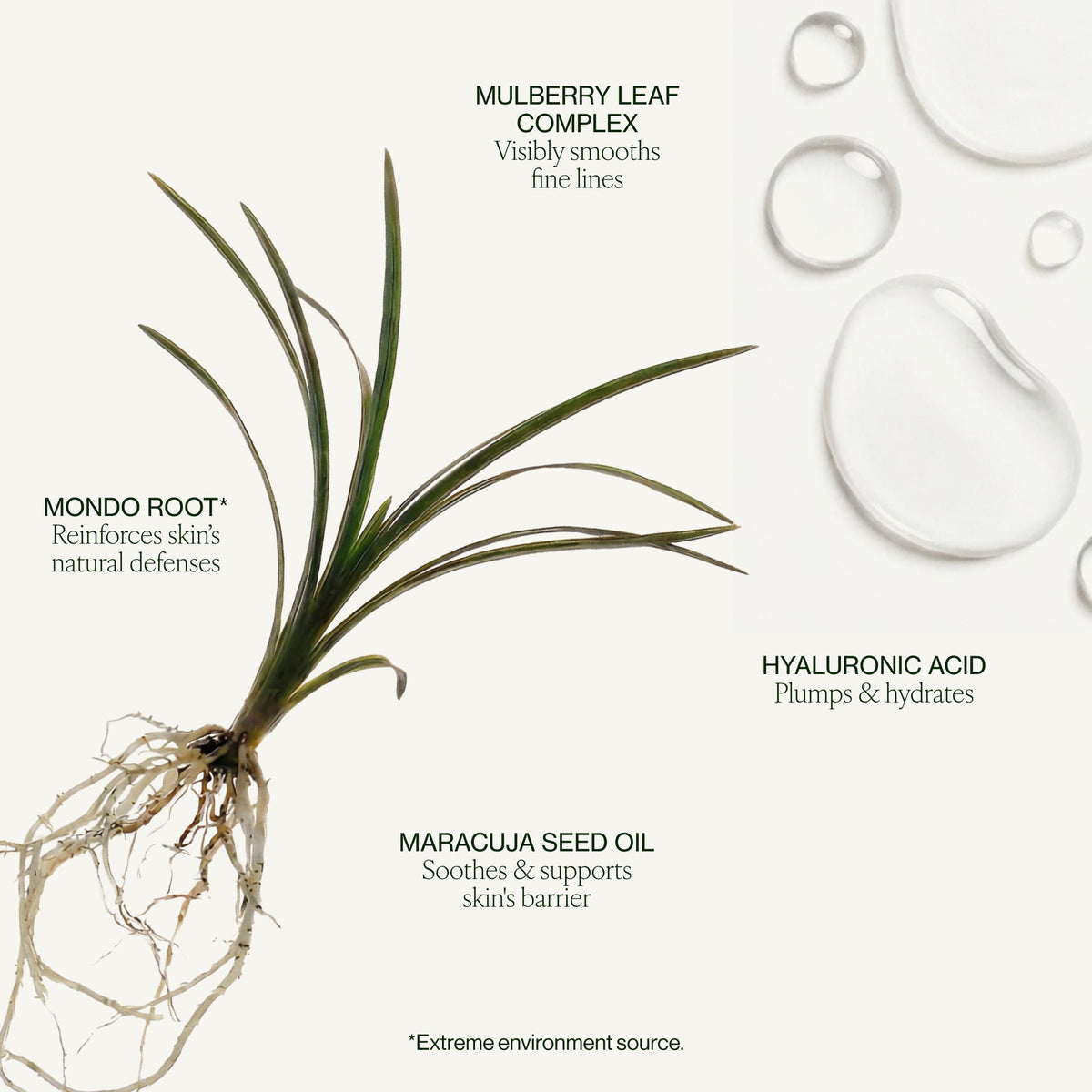 Lifestyle image of Tata Harper Fortifying Moisturizer