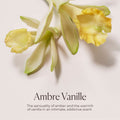 Information related to Laura Mercier Hydrating Body Wash Ambre Vanille​