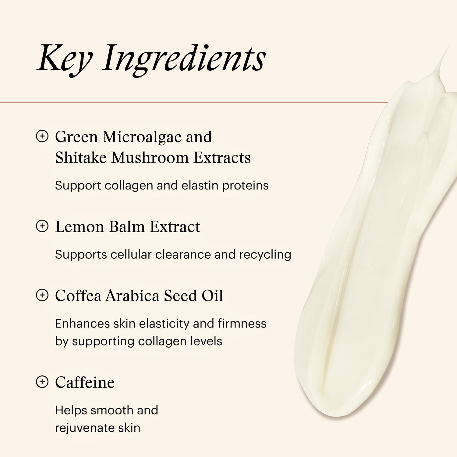 Information related to SkinMedica Firm & Tone Lotion for Body