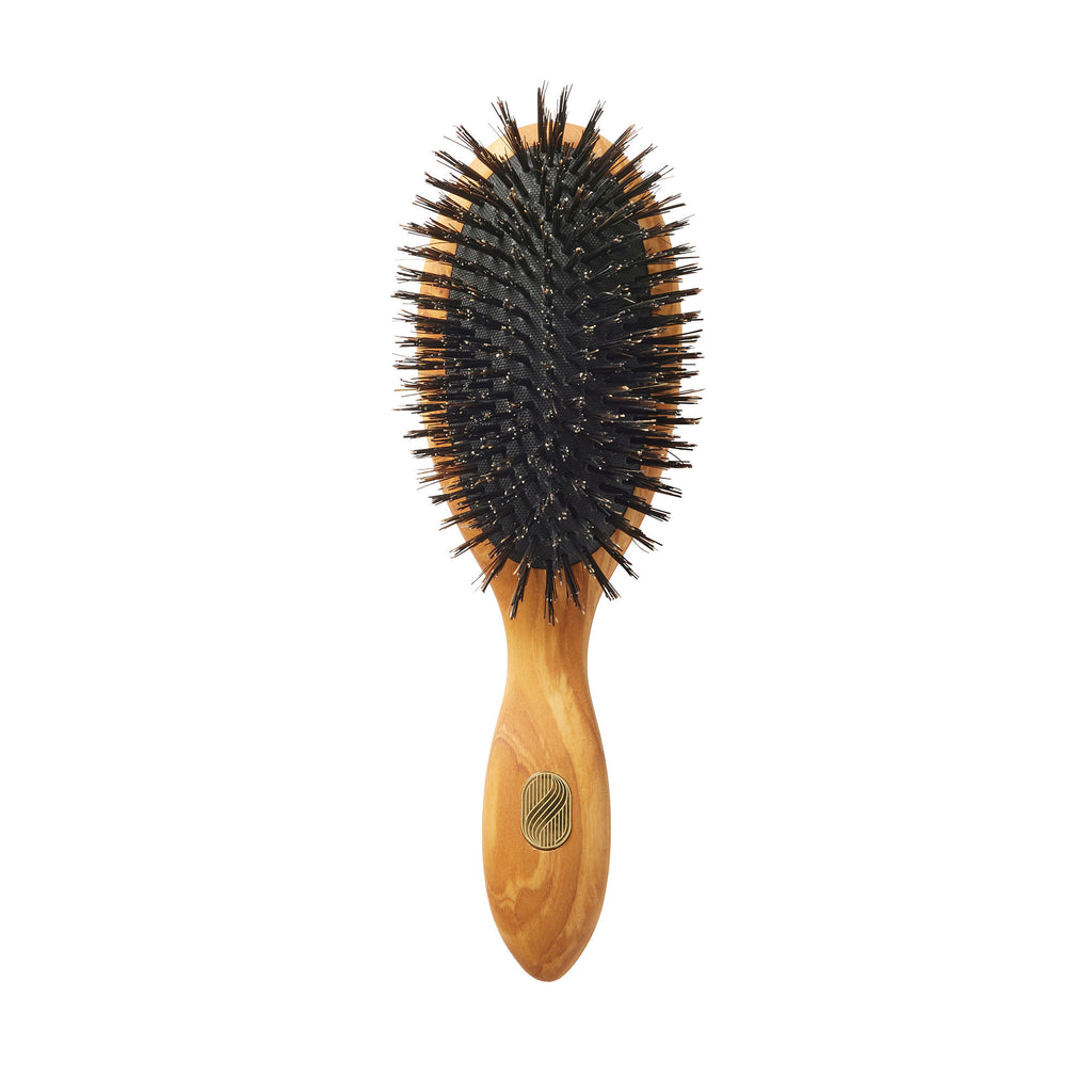 Altesse Studio Beaute Classic Repair & Shine Brush for Fine to