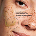 Image of product in the same collection as SkinCeuticals Phyto Corrective Masque