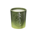 Diptyque Figuier Indoor/Outdoor Candle main image