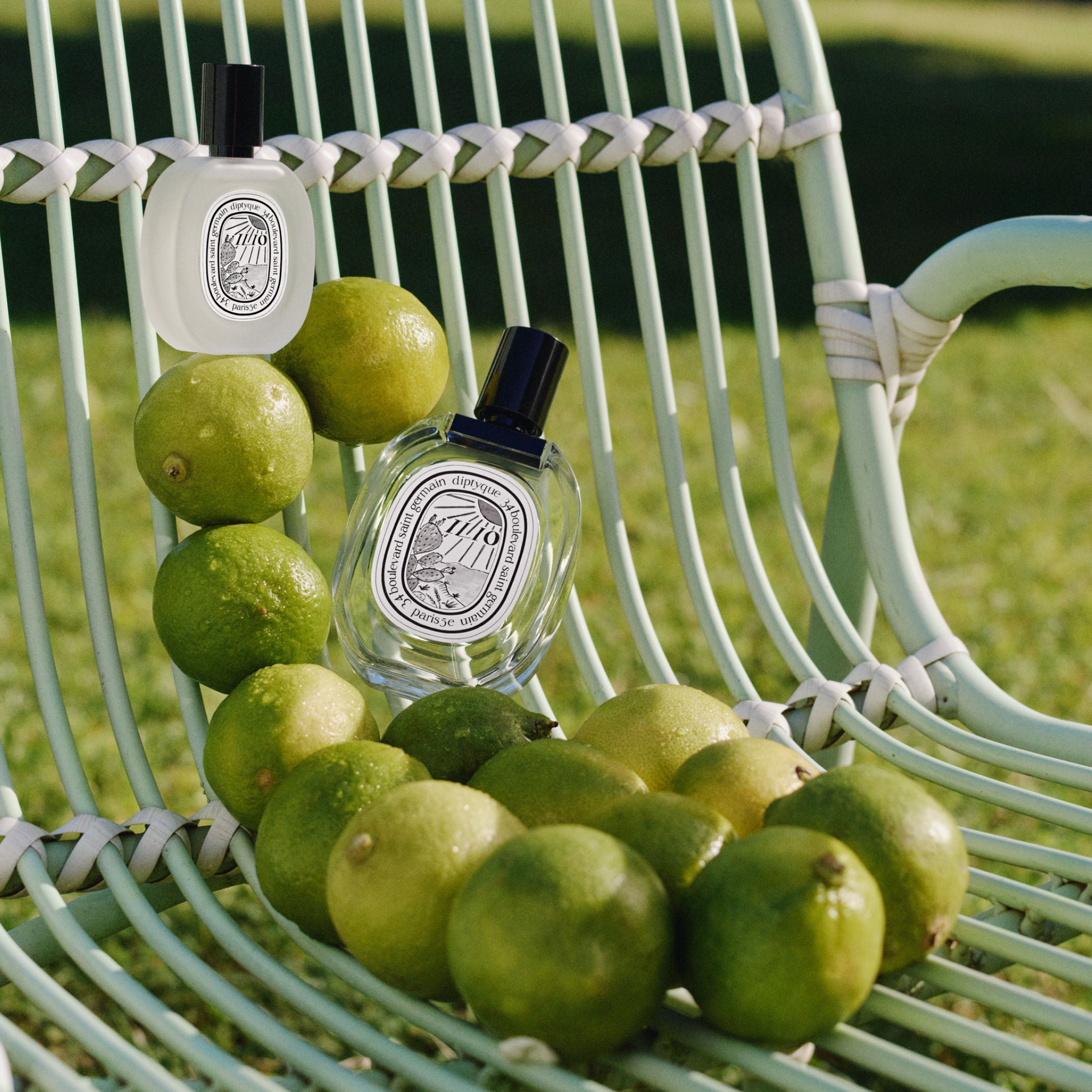Ilio - Eau de toilette | Diptyque Paris