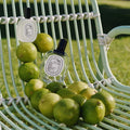 Lifestyle image of Diptyque Ilio Eau De Toilette