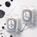 Image of product in the same collection as Diptyque Encre Classic Candle