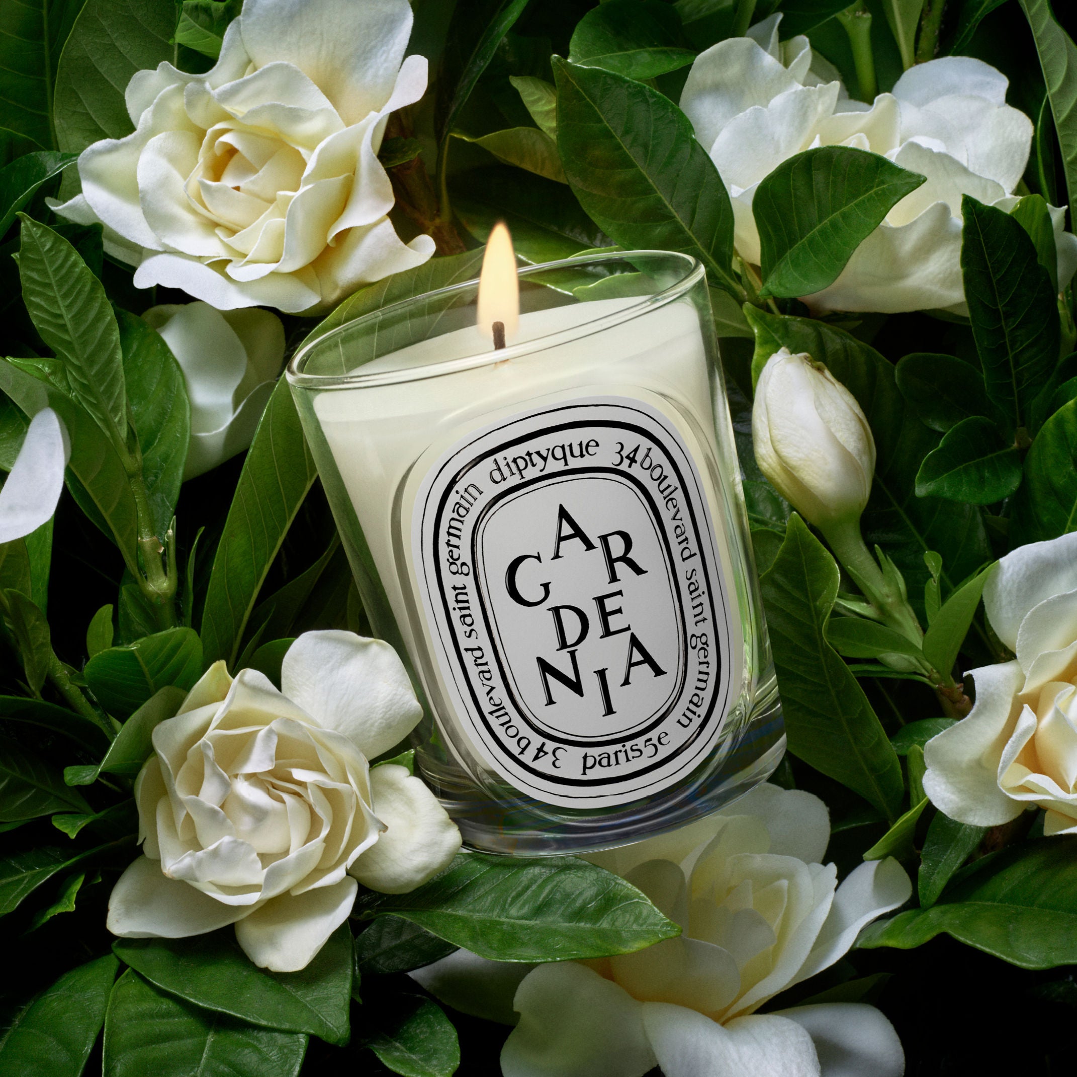 Diptyque Gardenia Classic Candle – Diptyque – bluemercury