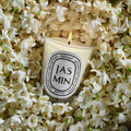 Swatch image of  Jasmin (Jasmine) Candle