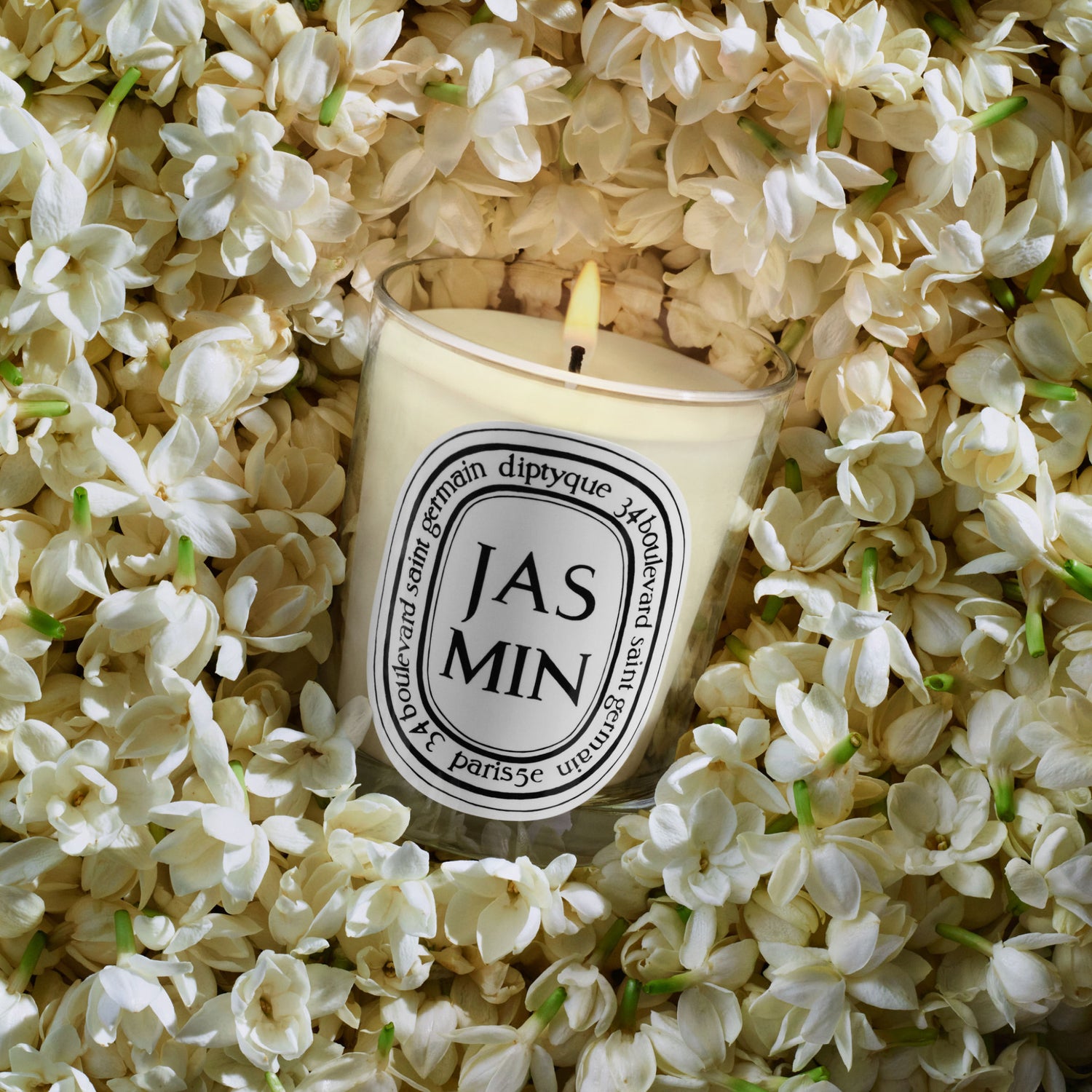 Swatch image of  Jasmin (Jasmine) Candle