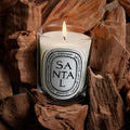 Swatch image of Diptyque Santal (Sandalwood) Candle