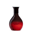 Image of a closed The Harmonist Oud Nebula Eau de Parfum