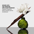 Information related to Oribe Hair Alchemy Heatless Styling Balm