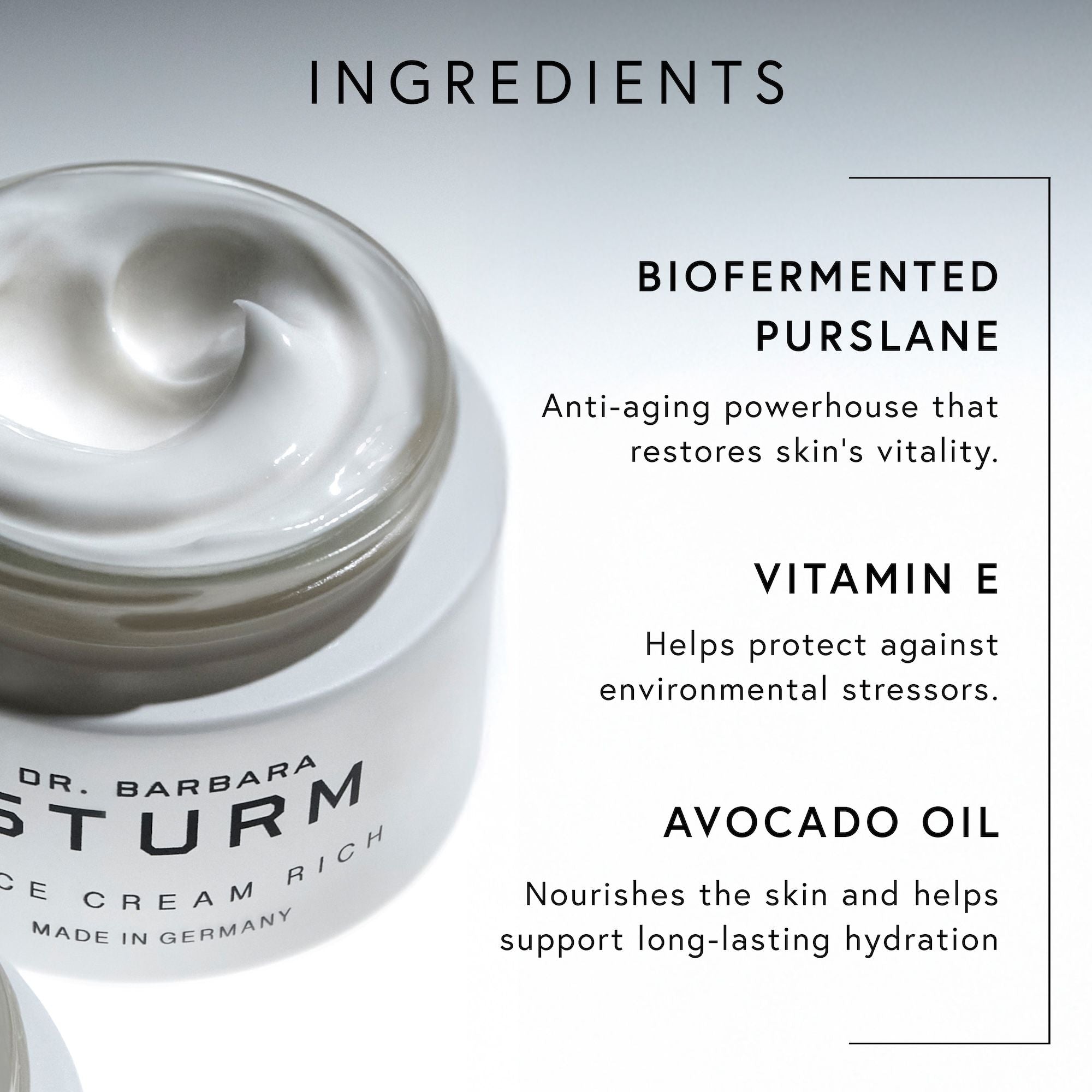 Dr. Barbara Sturm Face Cream Rich – Dr. Barbara Sturm – bluemercury