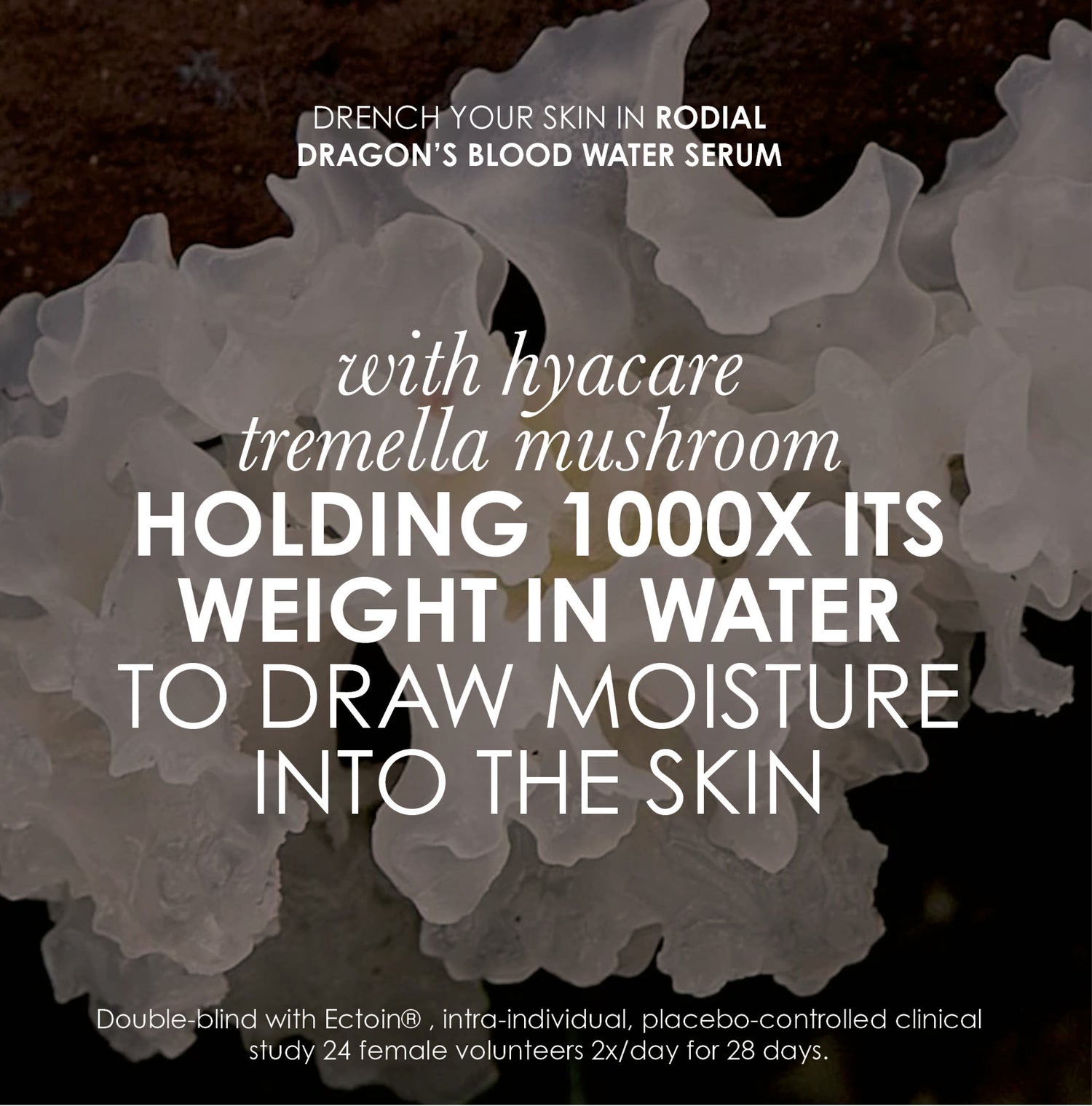 Information related to Rodial Dragon's Blood Water Serum