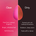 Information related to Beautyblender Liquid Blendercleanser