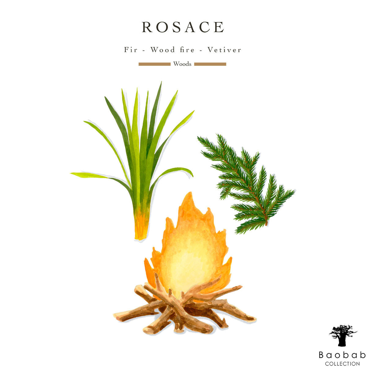 Information related to Baobab Collection Rosace Candle Max 10 (Limited Edition)
