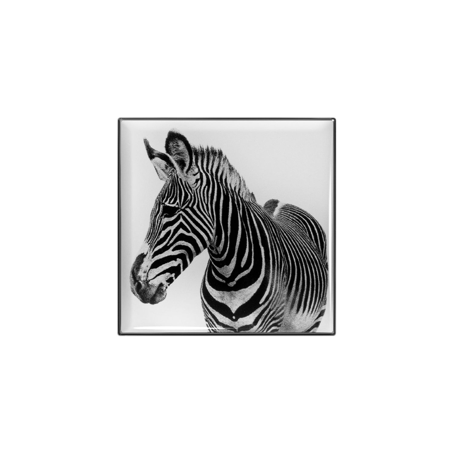 Luminescent Eye Shade Zebra