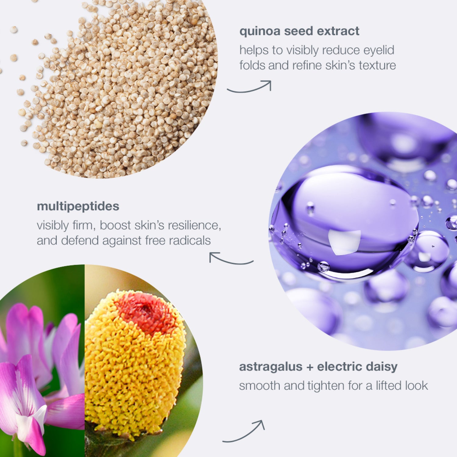 Dermalogica Phyto Nature Lifting Eye Cream infographics image 4 .