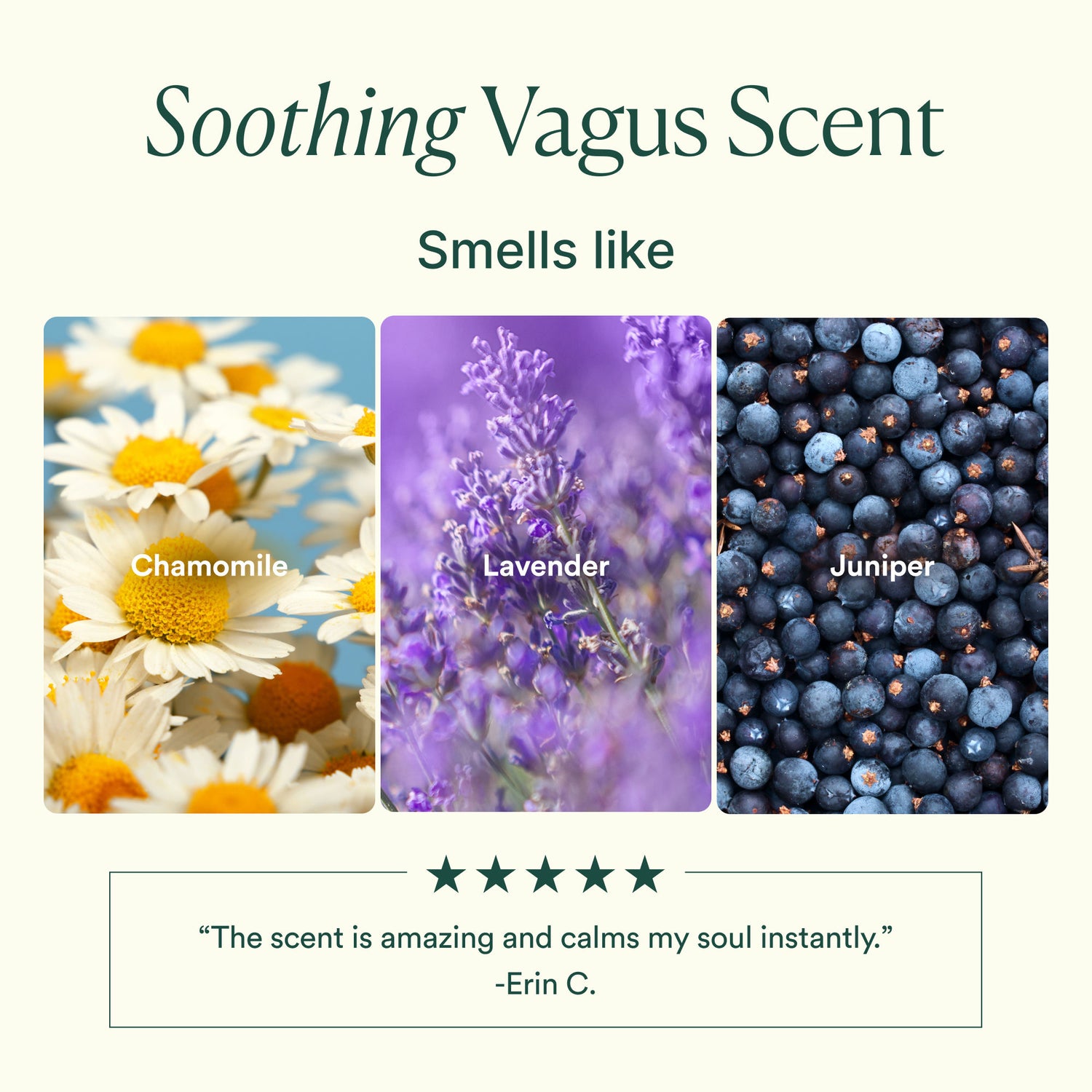 Information related to OSEA Vagus Nerve Bath Oil