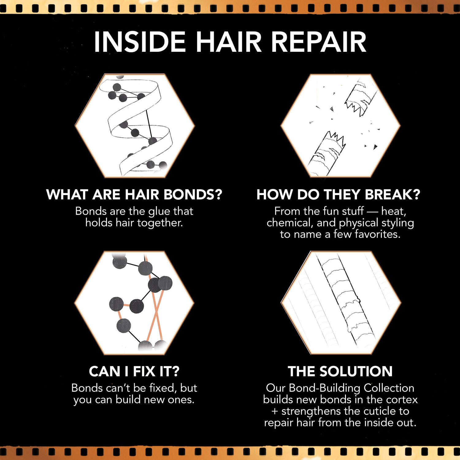 Information related to Bumble and Bumble Bond-Building Repair Treatment