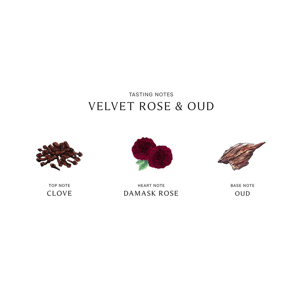 Information related to Jo Malone London Velvet Rose and Oud Diffuser